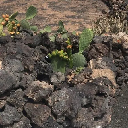 Casa Rara - Finca Rural Tipica En Yaiza Yaiza (Lanzarote)